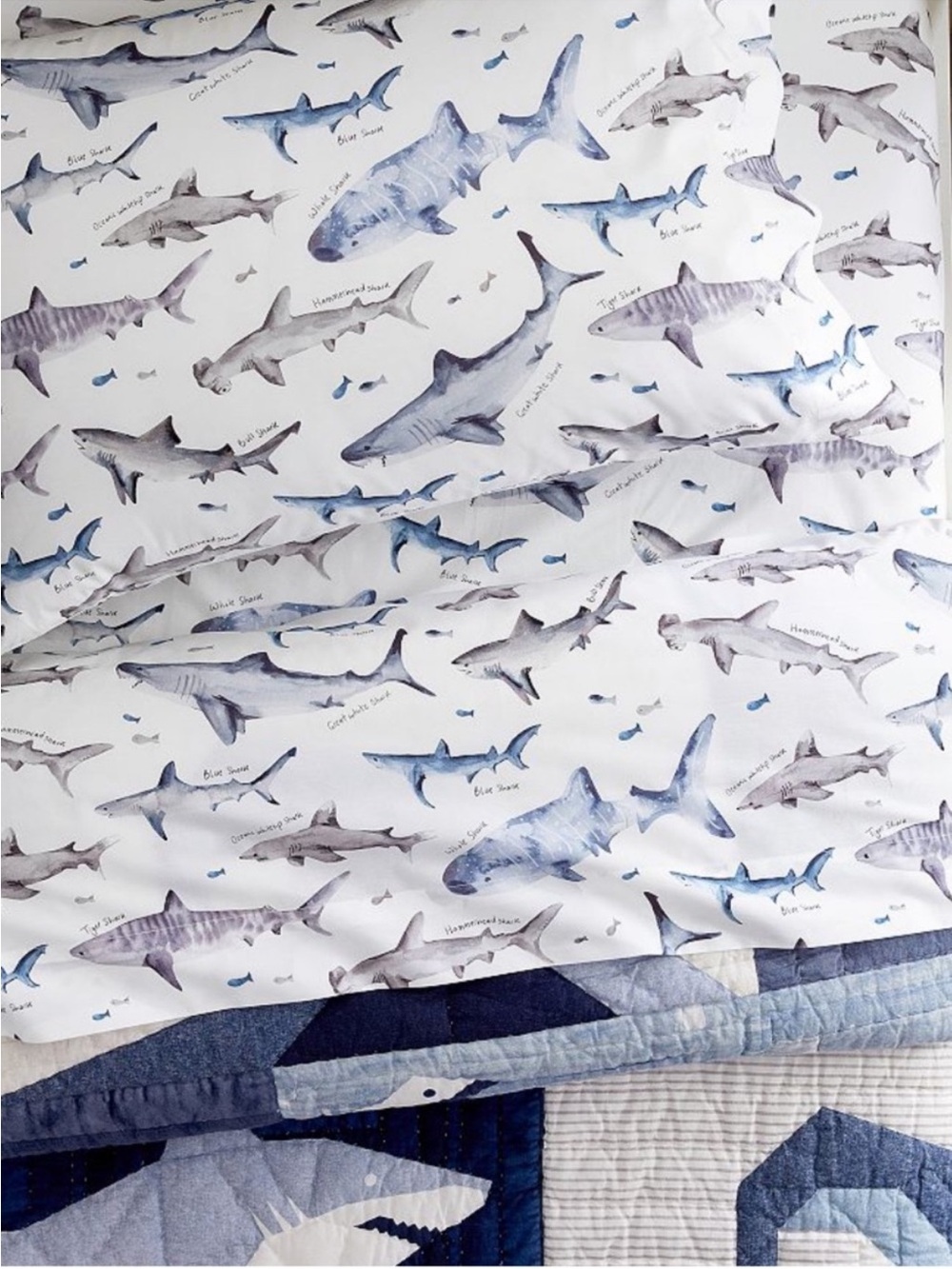 Pottery Barn Kids Heritage Shark Organic Sheet Set Full Size NWOT